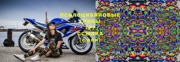 индика Горнозаводск