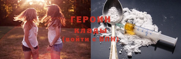 индика Горнозаводск