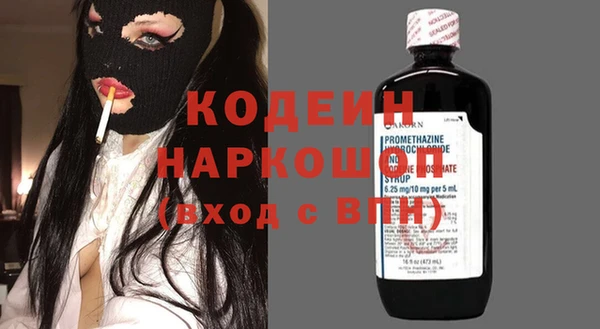 крисы Горняк
