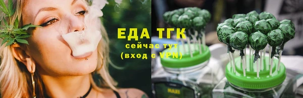 индика Горнозаводск