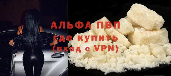 индика Горнозаводск