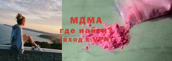 индика Горнозаводск