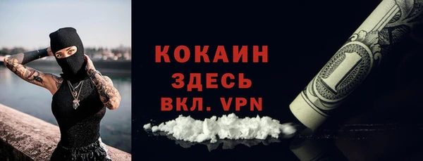 индика Горнозаводск