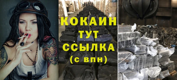 индика Горнозаводск