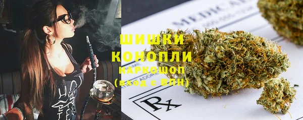 индика Горнозаводск