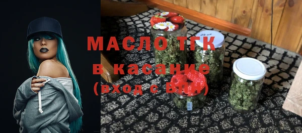 крисы Горняк