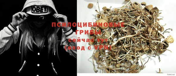 индика Горнозаводск