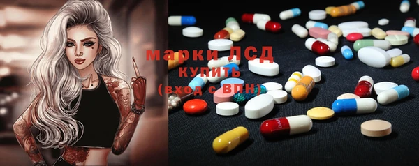 крисы Горняк