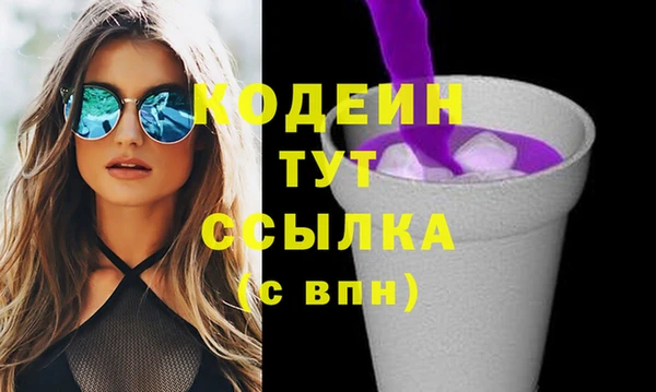 крисы Горняк