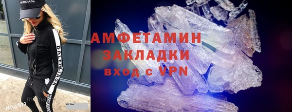 индика Горнозаводск