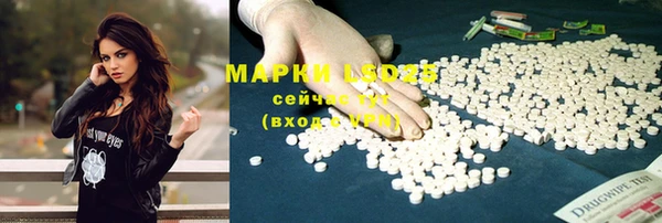 индика Горнозаводск