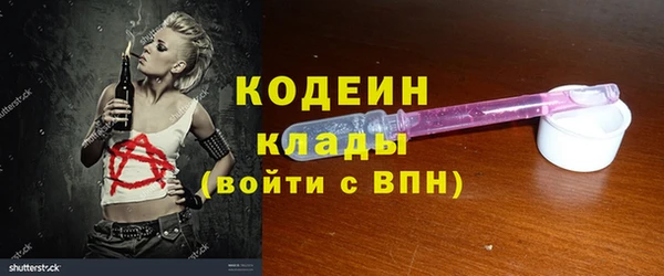 крисы Горняк